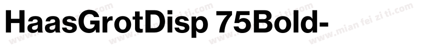 HaasGrotDisp 75Bold字体转换